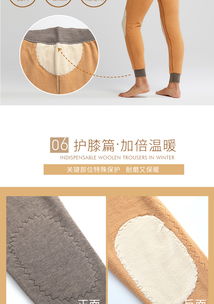 秋冬御寒新選擇 湯河之家雙層加厚全羊毛保暖褲，兼顧護膝護腰的溫暖守護